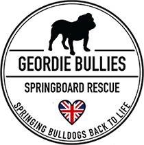 Geordie Bullies Springboard