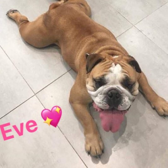 Eve – Now Adopted