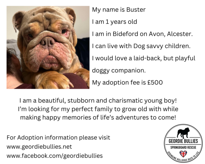 Buster – Applications Now Closed!