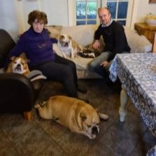 Lola – Now Adopted!