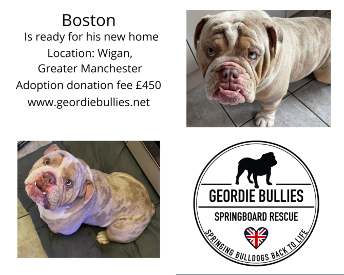 Boston – Application’s Closed! – North West