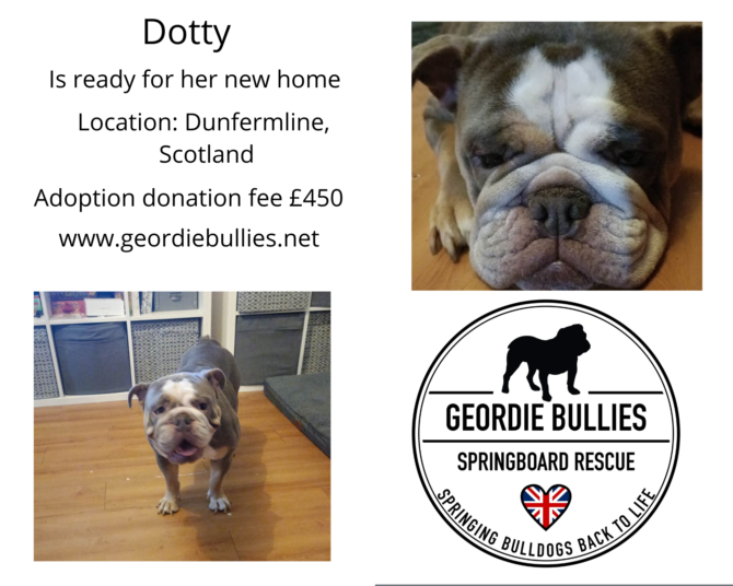Dotty – Adoption Closed- Scotland
