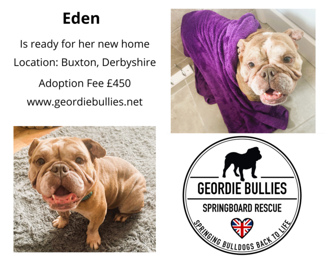 Eden – Ready for Adoption!- North West