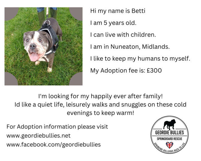 Betti – Ready for Adoption – Midlands