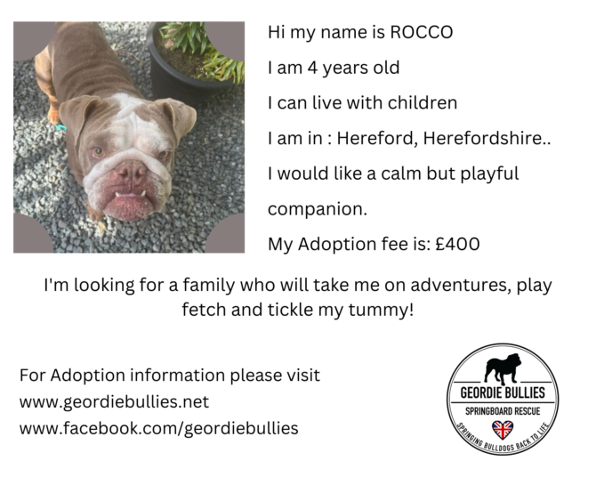 Rocco – Applications Closed!- South West