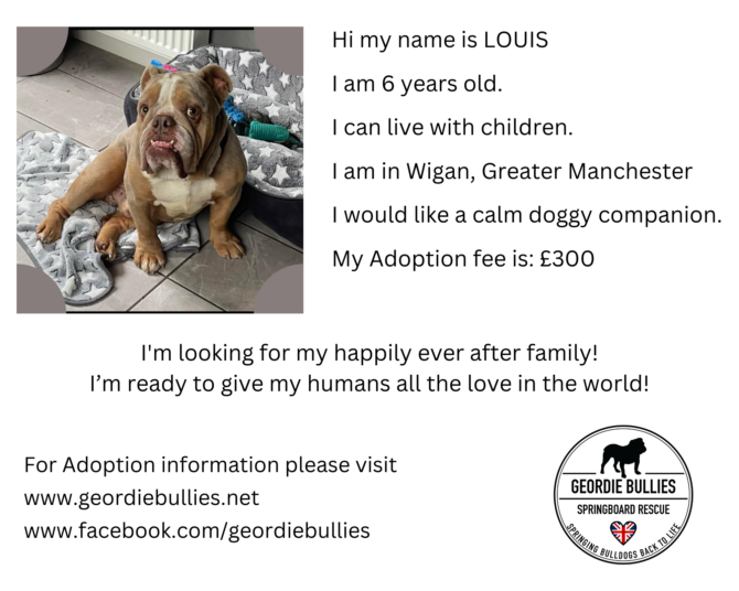 Louis – Ready for Adoption! – North West