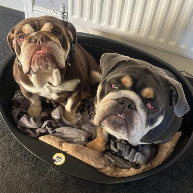 Sharon & Belle – In Foster – North East