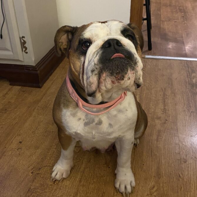 Ethel – In Foster – North East