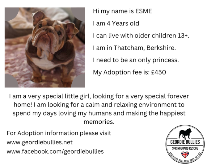 Esme- Ready for Adoption! – South East