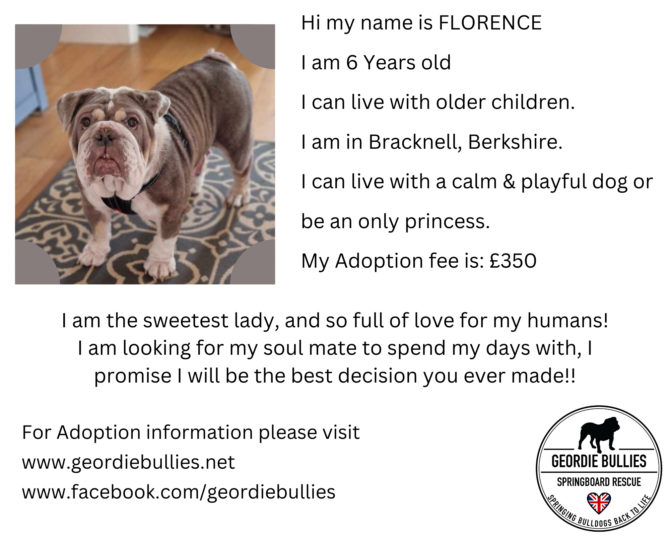 Florence – Ready for Adoption! – South East