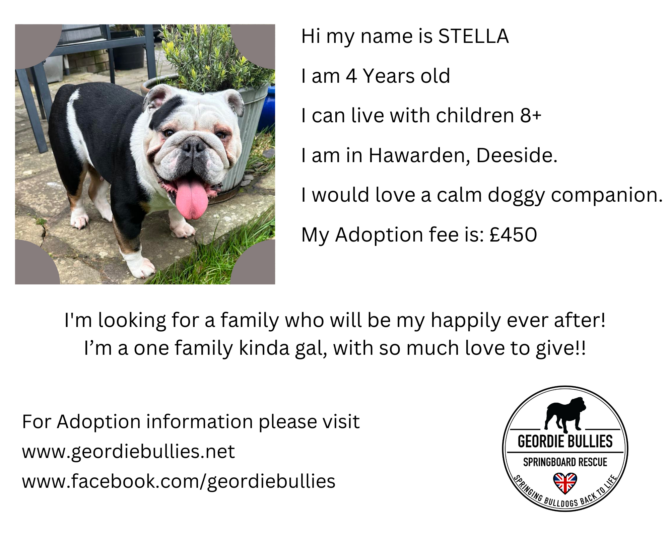 Stella – Applications closed – North West