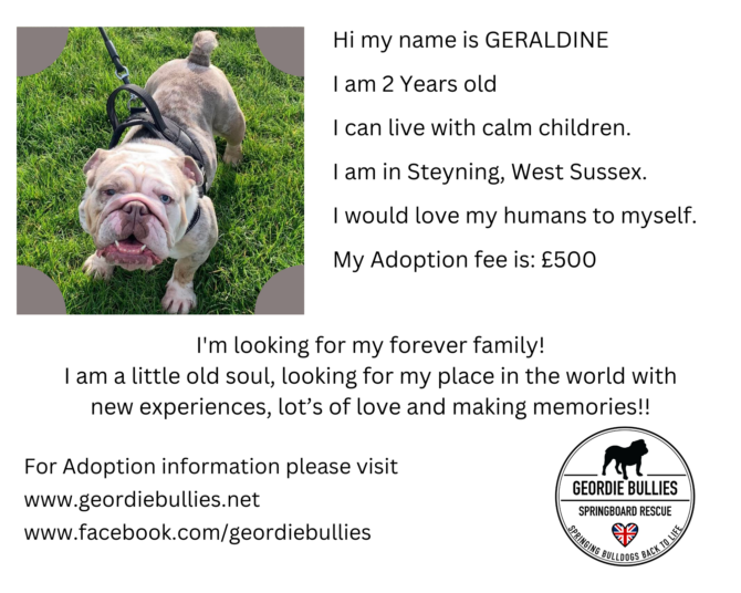 Geraldine – Ready for adoption- South East