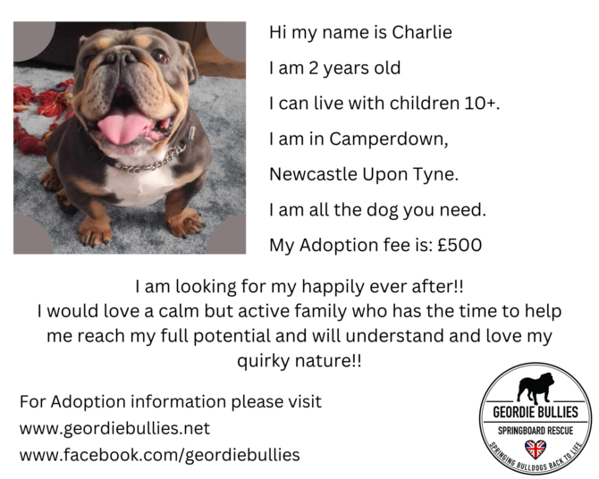 Charlie – Applications Closed! -North East