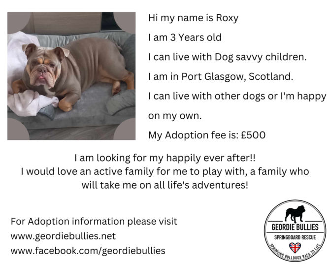 Roxy – Applications Closed! – Scotland