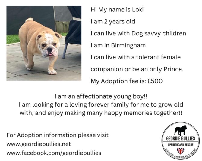 Loki – Applications Closed – Midlands