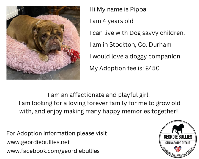 Pippa – Applications Closed – North East