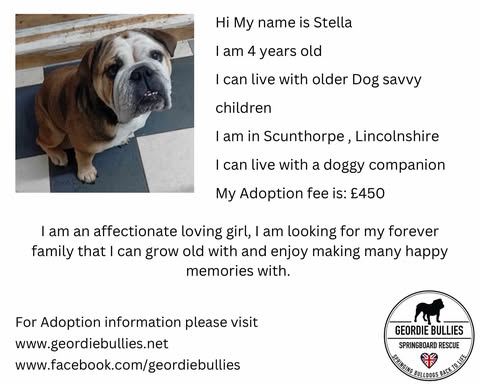 Stella – Applications Closed – Midlands