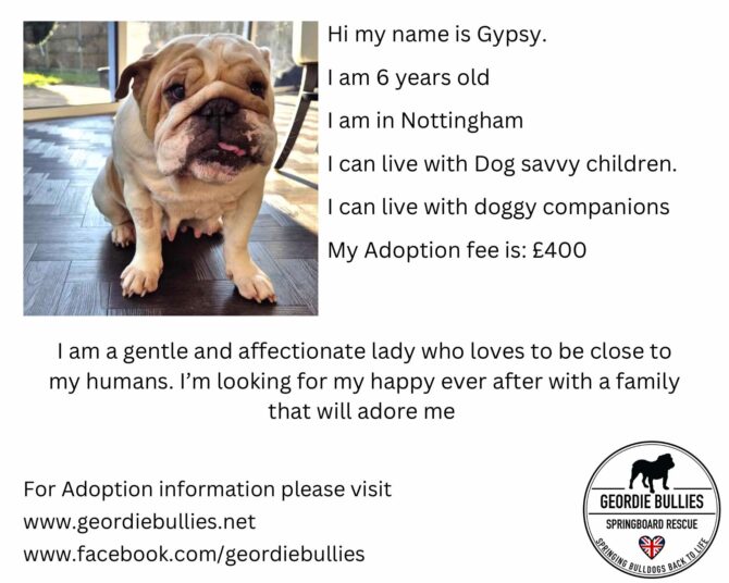 Gypsy – Applications Closed – Midlands