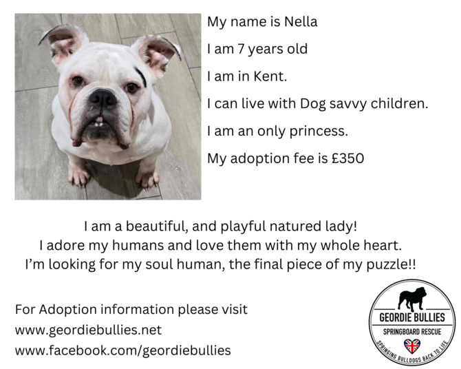 Nella – Ready for adoption – South East