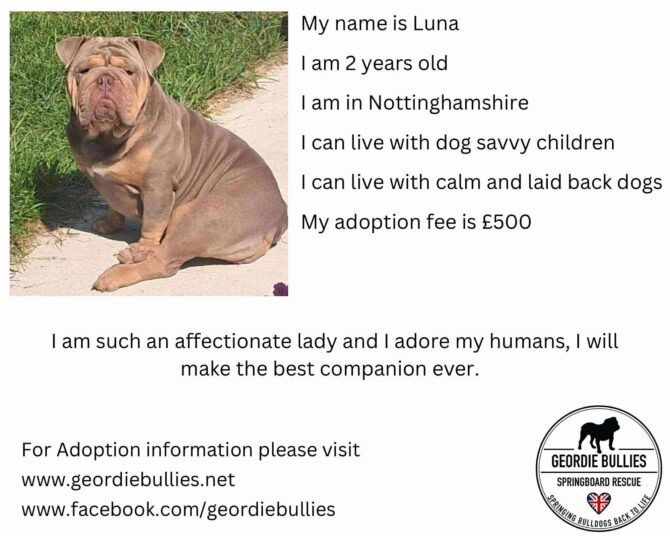 Luna – Applications Now Closed! – Midlands