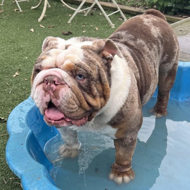 George – In Foster – Midlands
