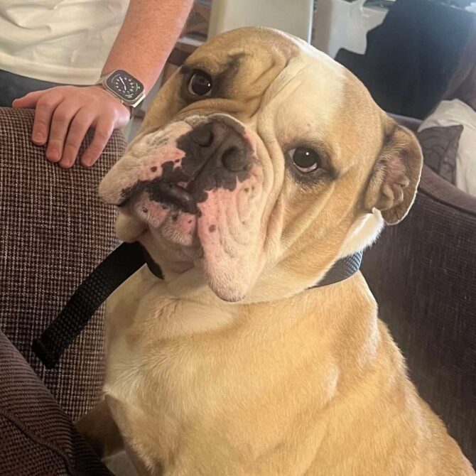 Gary – In Foster – Yorkshire & Humberside