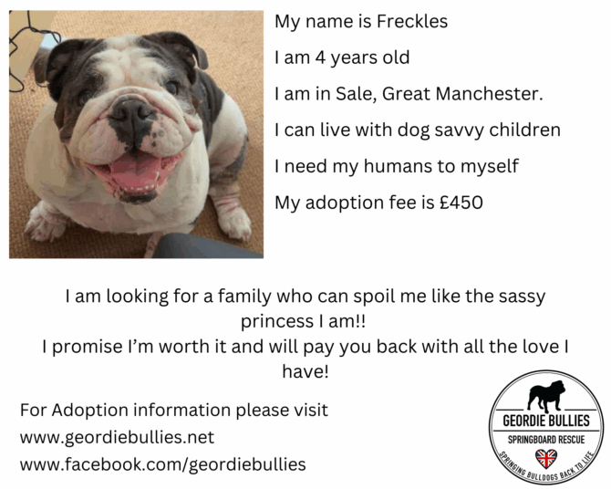 Freckles – Ready for Adoption! – North West