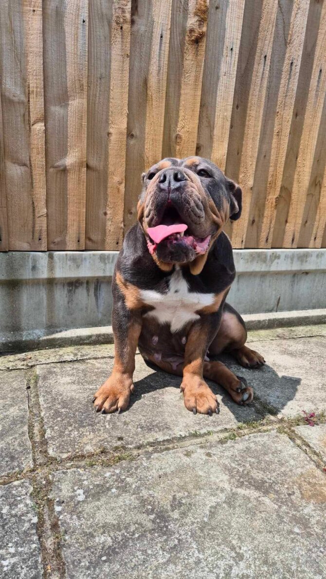 Etta – In Foster – South East