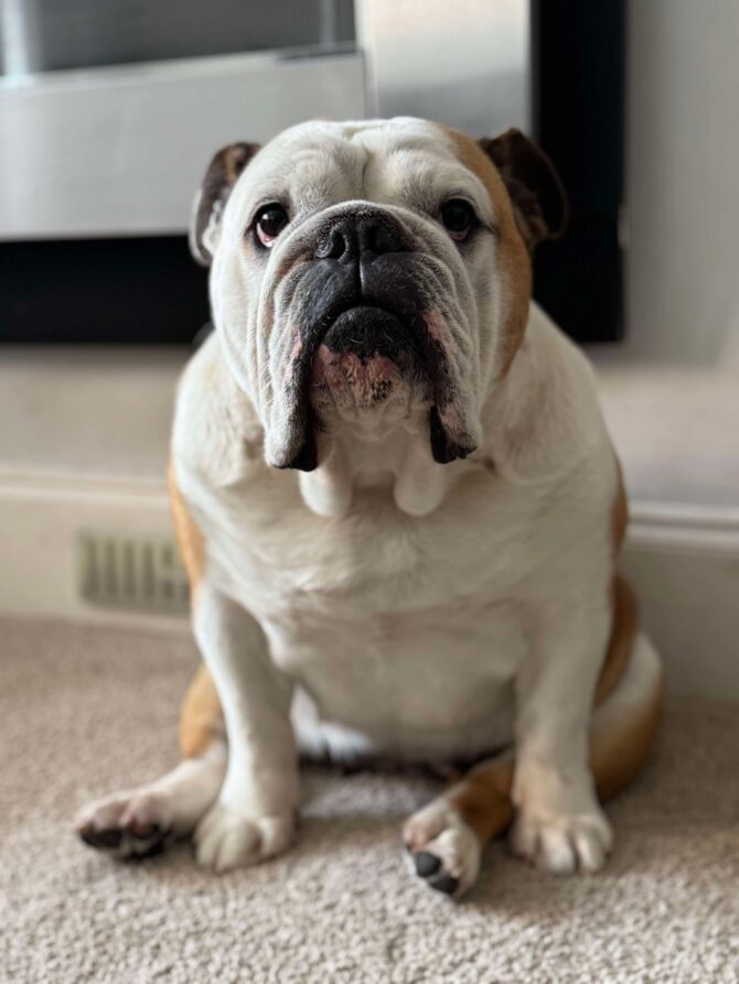 Dot – In Foster – North West