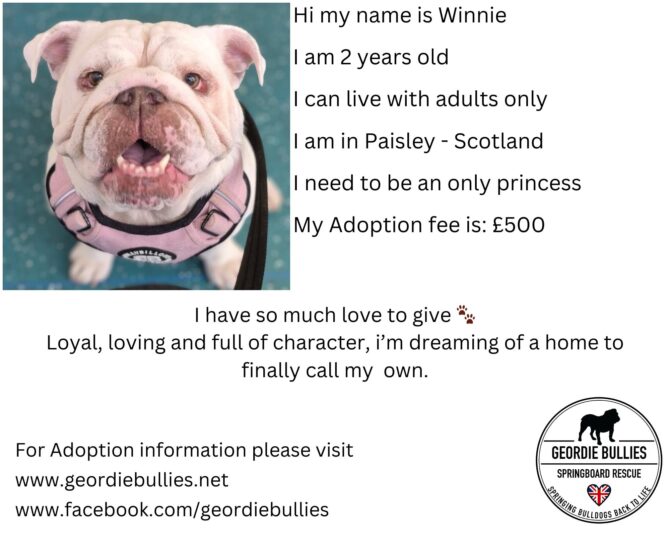 Winnie – Now Available  – Scotland