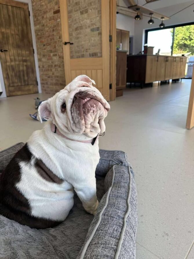 Winnie – In Foster – Scotland