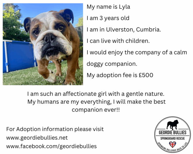 Layla – Applications Now Closed! – North West