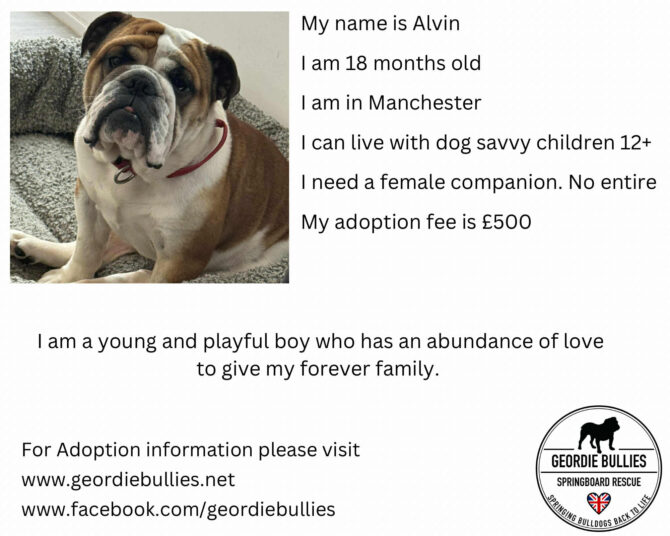 Alvin – Applications Closed – North West