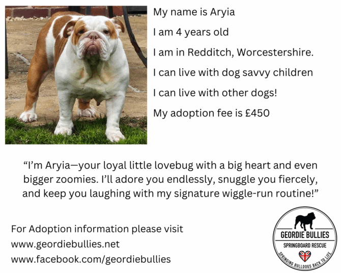 Aryia – Available for Adoption – Midlands
