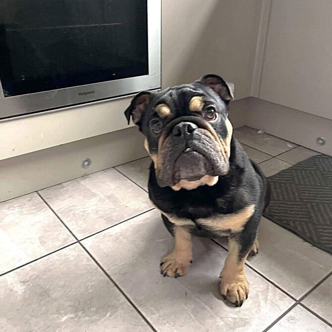 Ralph – In Foster – North West