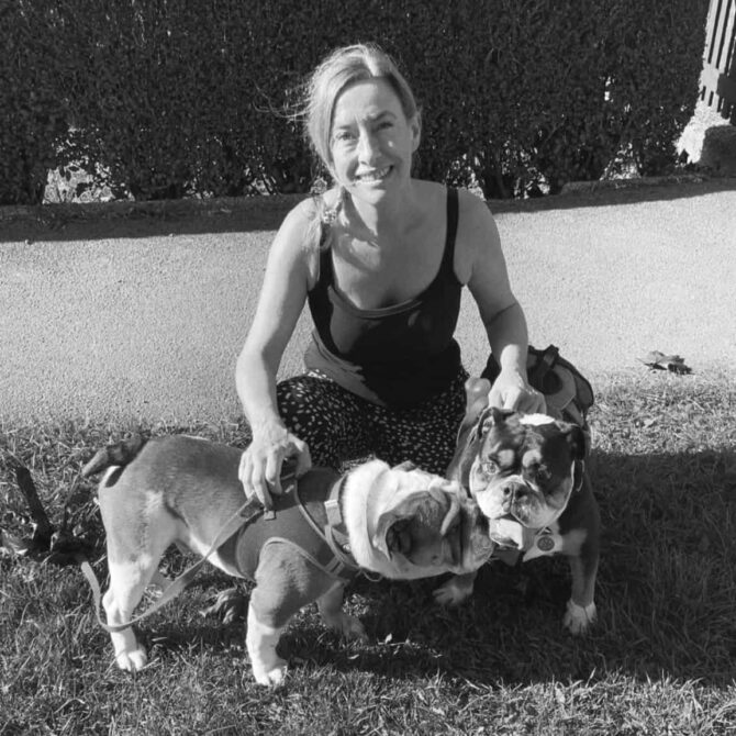 Alvin – Now Adopted!