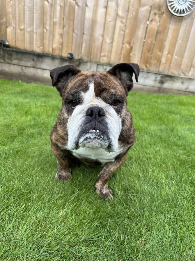 Rubble – In Foster – North East