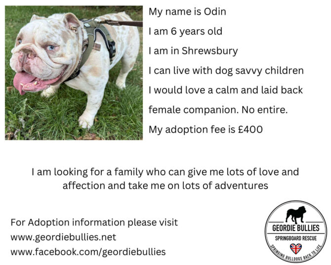 Odin – Applications Open – Midlands