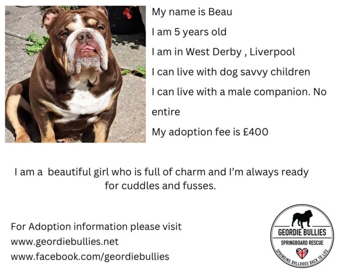 Beau – Applications Now Closed – North West