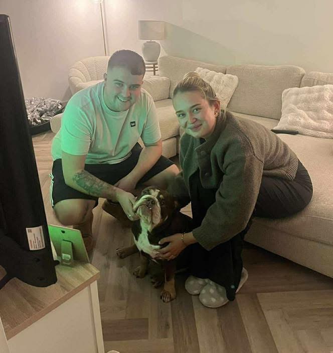 Beau – Now Adopted!