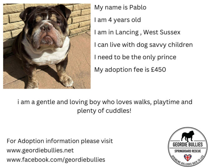 Pablo – Applications Open – South East