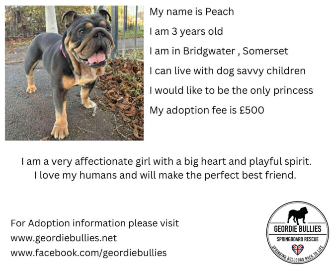 Peach – Applications Open – South West