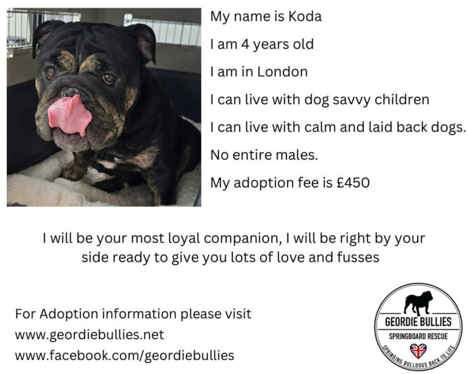 Koda – Applications Open- South East