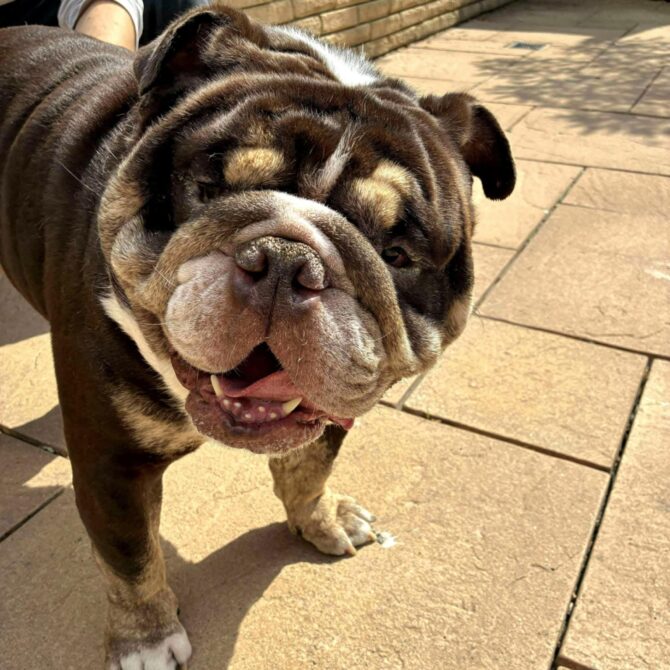 Pablo – In Foster – South East