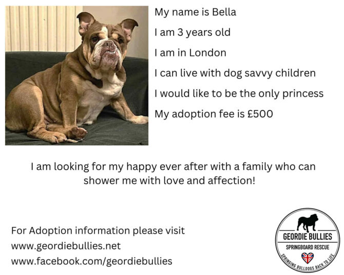 Bella – Applications Open – South East