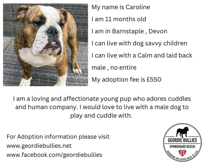 Caroline – Applications Open – South West