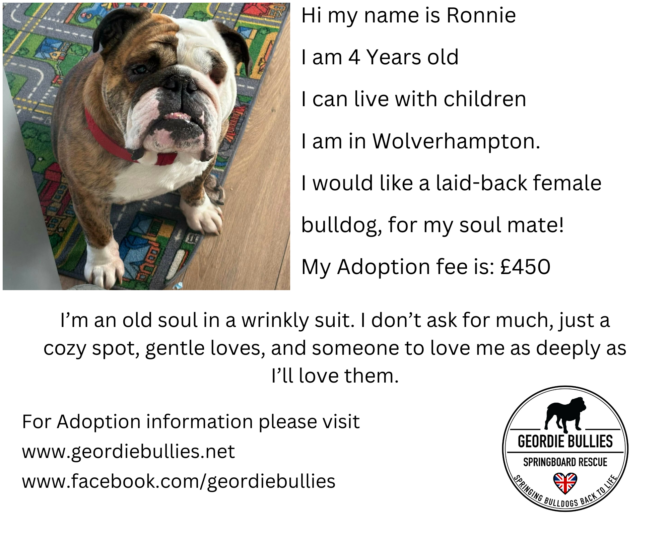 Ronnie – Now Available – Midlands