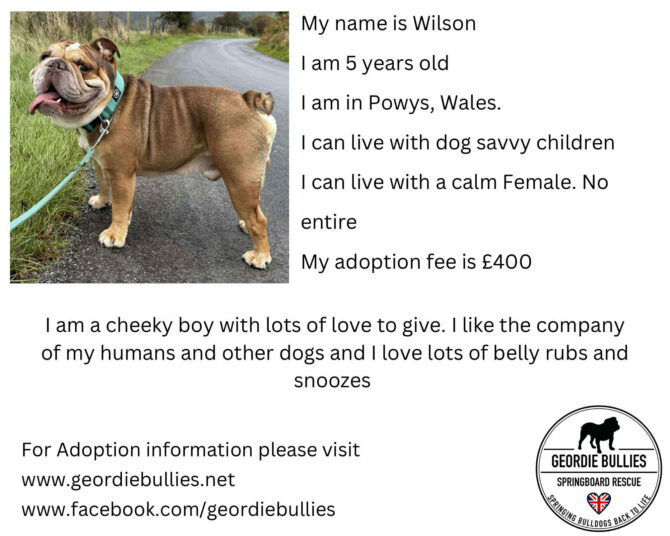 Wilson – Applications open- Wales