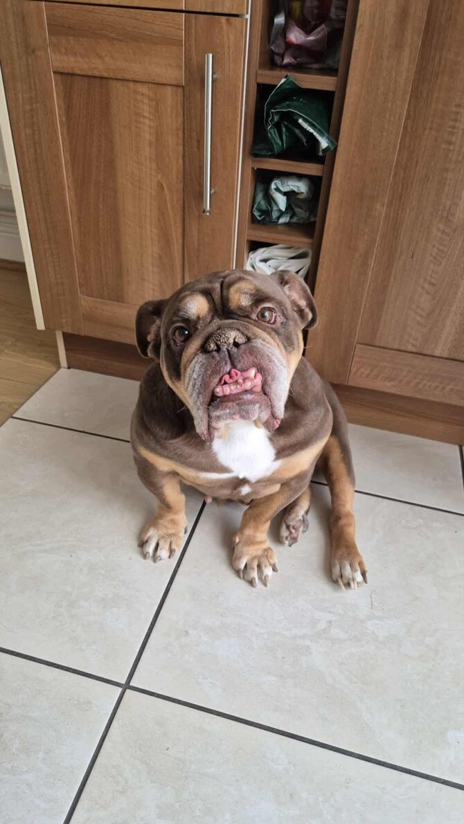 Pammy – In Foster – South East