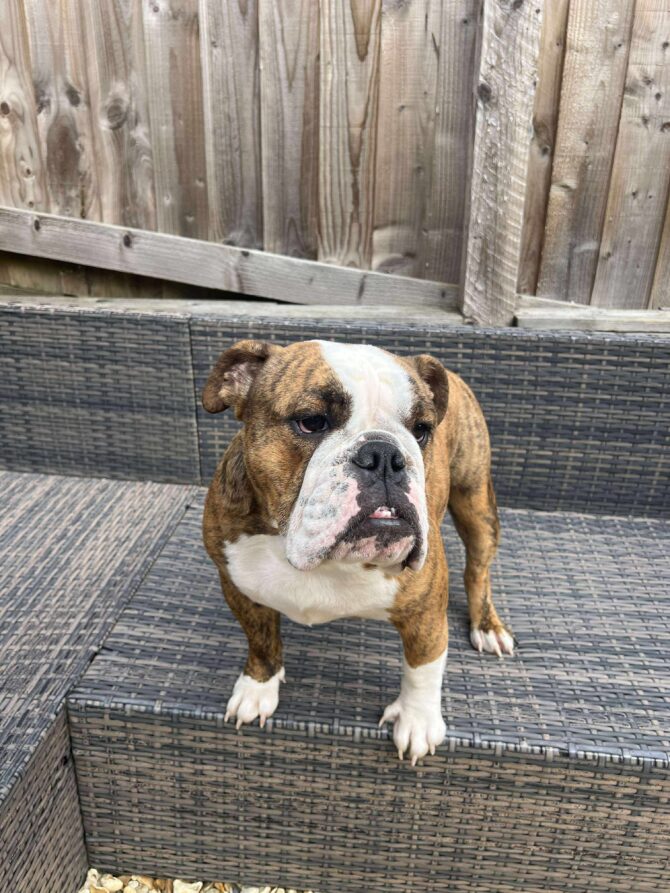 Caroline – In Foster – South West
